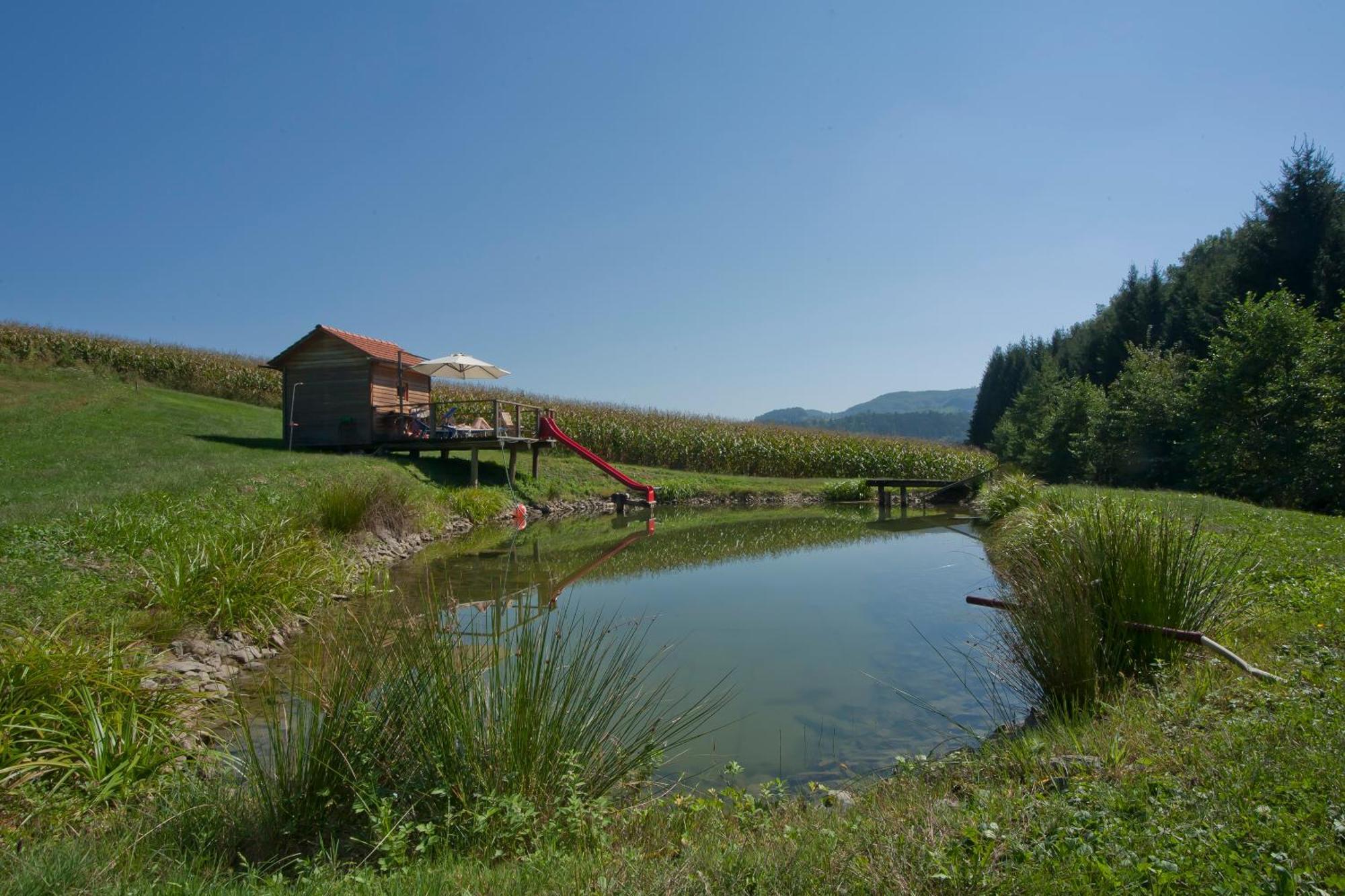 Weingut Winzerhof Gaestezimmer Grebenz Großklein Buitenkant foto